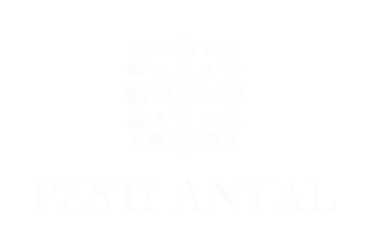 Pesti Antal | A változás állandó, de a fejlődés opcionális.
