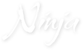 Ninja akadémia